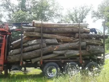 [Hearth.com] CL: Cheap or Free Grapple truck load. Long Island