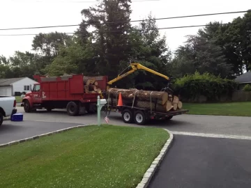 [Hearth.com] CL: Cheap or Free Grapple truck load. Long Island