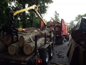 [Hearth.com] CL: Cheap or Free Grapple truck load. Long Island