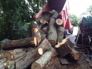 [Hearth.com] CL: Cheap or Free Grapple truck load. Long Island