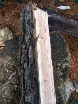 [Hearth.com] Wood ID help