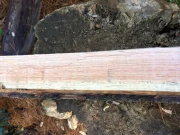 [Hearth.com] Wood ID help