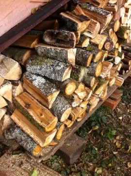 [Hearth.com] Wood ID please - good luck!