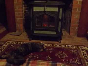 [Hearth.com] Woodstock Fireview in Fireplace, Flex King Pro 5.5"