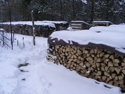 Getting the winter's wood ready