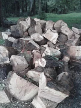 [Hearth.com] Easy score - softwood id please.