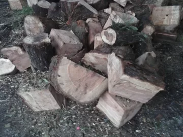[Hearth.com] Easy score - softwood id please.