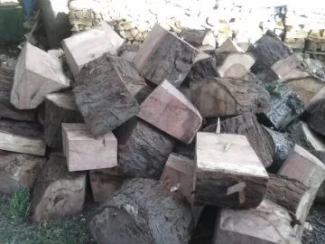 [Hearth.com] Easy score - softwood id please.