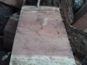[Hearth.com] Easy score - softwood id please.