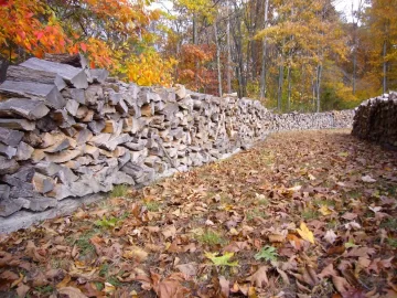 [Hearth.com] This is what