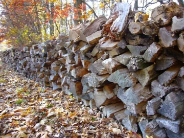 [Hearth.com] This is what