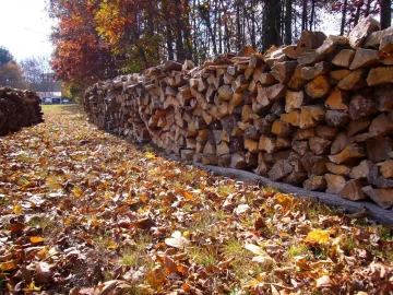 [Hearth.com] This is what