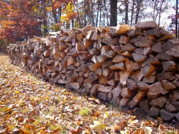 [Hearth.com] This is what