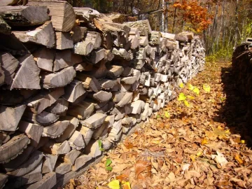 [Hearth.com] This is what