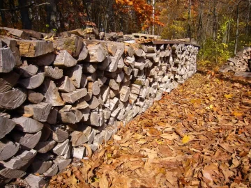 [Hearth.com] This is what