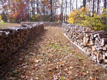 [Hearth.com] This is what