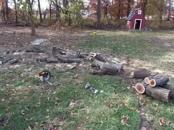 [Hearth.com] Gold from the ditch bank(pics!)