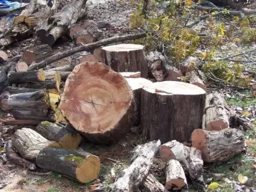 [Hearth.com] Gold from the ditch bank(pics!)