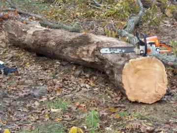 [Hearth.com] Gold from the ditch bank(pics!)