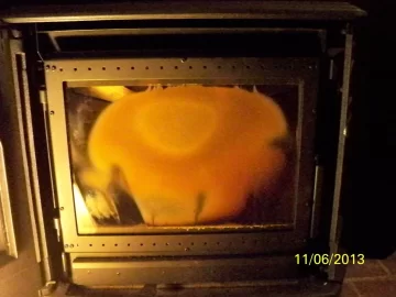 [Hearth.com] Bad Burn!?