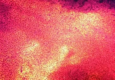 [Hearth.com] What is it?