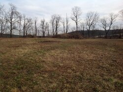 Recently cleared field