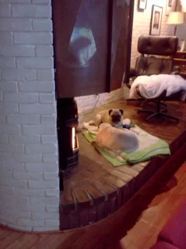 [Hearth.com] Pitching Whitfield pellet for Morso 1125? Hearth install questions....