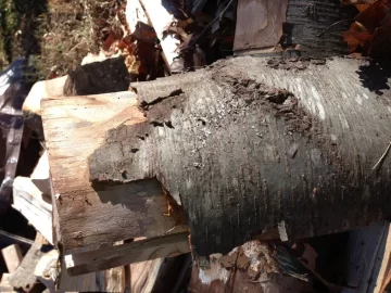 [Hearth.com] Wood ID please- need to know this wood that is kicking  my back !