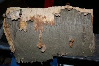 [Hearth.com] Wood ID please- need to know this wood that is kicking  my back !