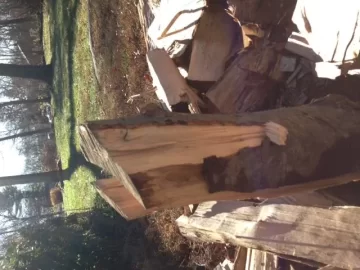 [Hearth.com] Wood ID please- need to know this wood that is kicking  my back !