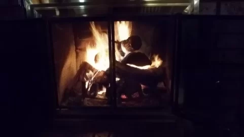 [Hearth.com] Country Flame 02 Stove CL Purchase