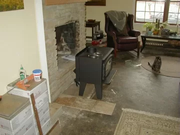 [Hearth.com] Here's my stove -- need opinions