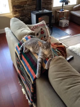 [Hearth.com] Thoughts about the Quadrafire "Yosemite"