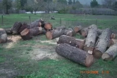 [Hearth.com] Choosing a Stihl Saw