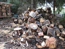 Firewood 004.jpg