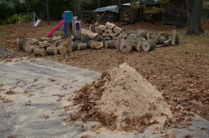 [Hearth.com] Got a small load of logs
