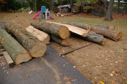 [Hearth.com] Got a small load of logs