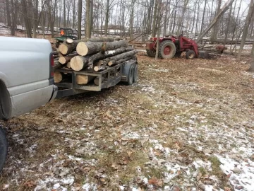 [Hearth.com] What to do with to much wood?