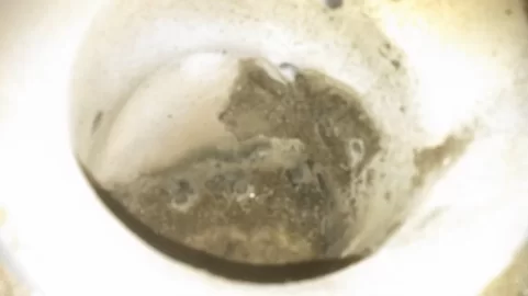 [Hearth.com] what is this thick goo?