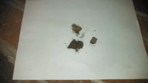 [Hearth.com] what is this thick goo?