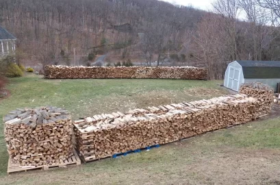 [Hearth.com] Holz Hausen - Goot, or bad?