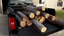 Best way to collect wood?
