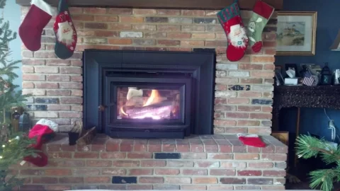 [Hearth.com] New Clydesdale - First Post