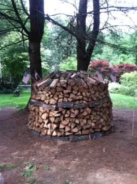 [Hearth.com] Holz Hausen - Goot, or bad?