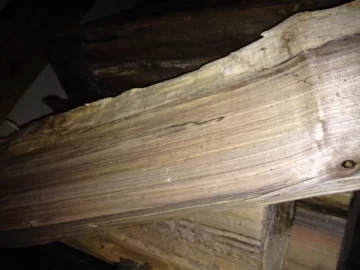[Hearth.com] First post wood id