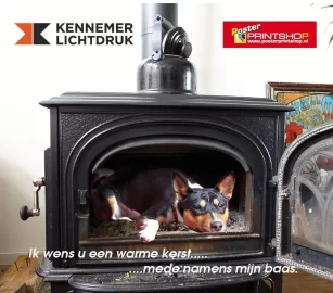 [Hearth.com] Firebox temp just right?