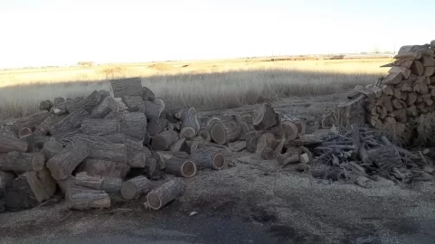 [Hearth.com] My embarrassing wood pile!