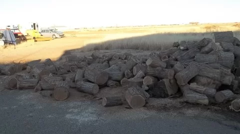 [Hearth.com] My embarrassing wood pile!