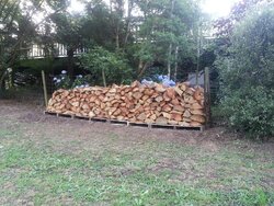 wood pile 2.jpg