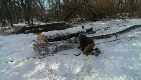 [Hearth.com] Got a small load of logs
